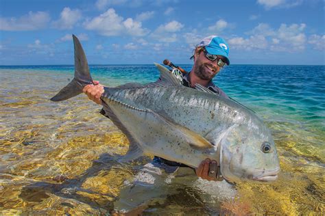 gt fish|Fly Fishing Giant Trevally .
